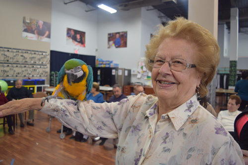 Pet therapy program at CBAO Seniors Day Program.